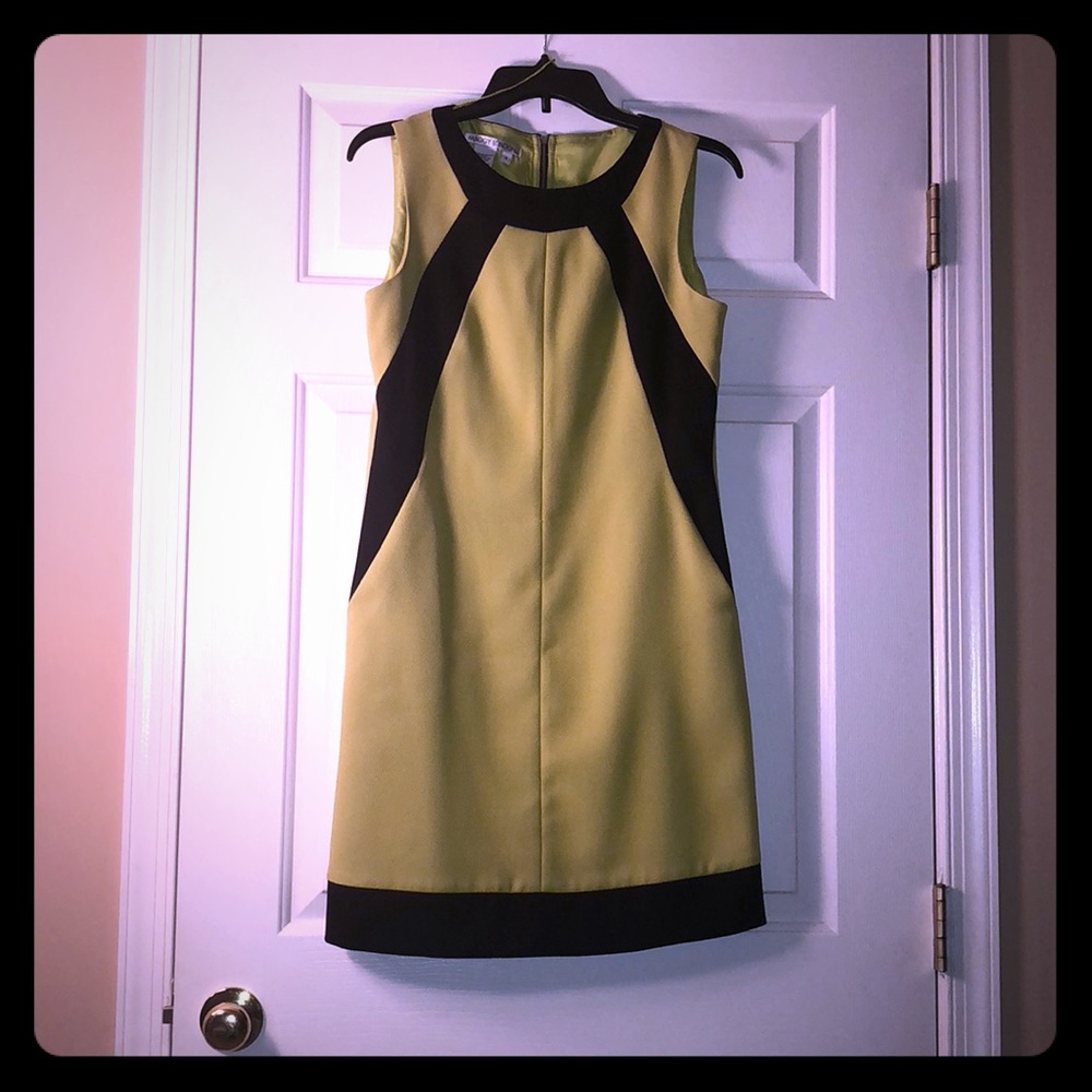 Maggy London Lime Green and Black Midi Dress💚🖤
